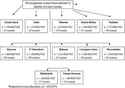 Prevalence of birth before arrival and associated factors among postpartum women in southern Ethiopia: a community-based cross-sectional study